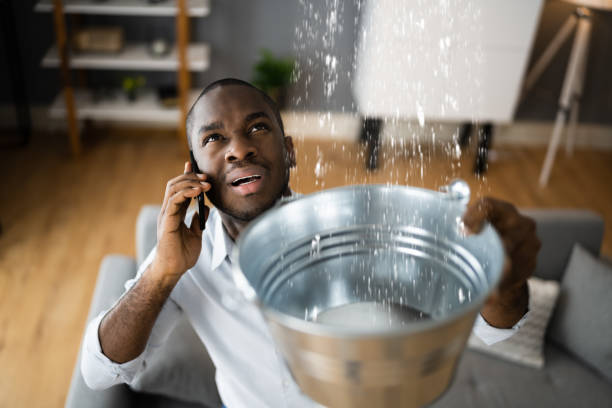 Best Flood restoration services  in Verona, WI