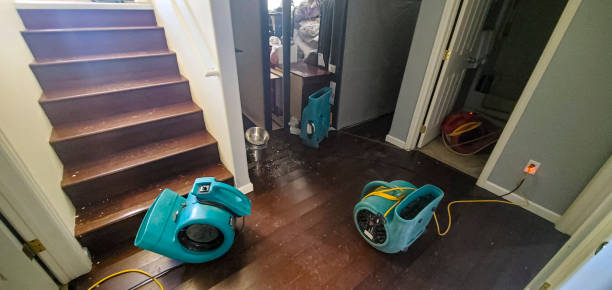 Best Water damage contractors near me  in Verona, WI
