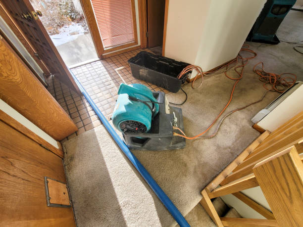 Water damage restoration insurance claims in Verona, WI