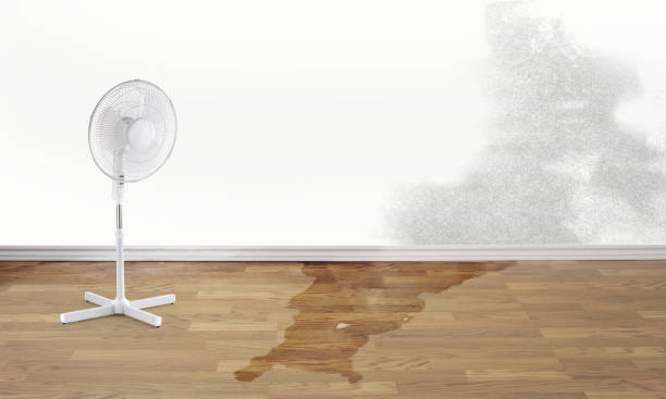 Best Fire Damage Restoration  in Verona, WI