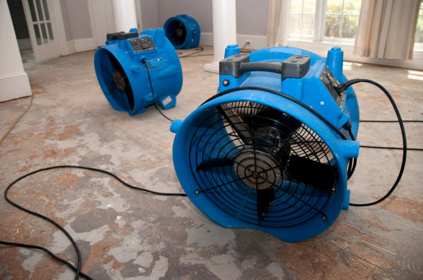 Best Fire Damage Restoration  in Verona, WI