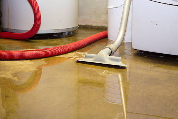 Best Residential water damage restoration  in Verona, WI
