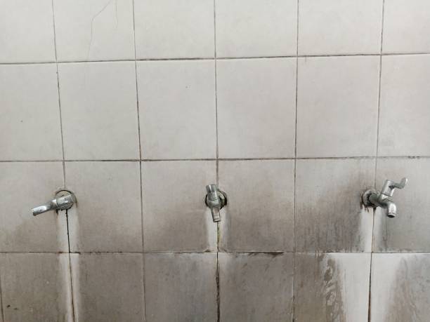 Best Water damage restoration near me  in Verona, WI