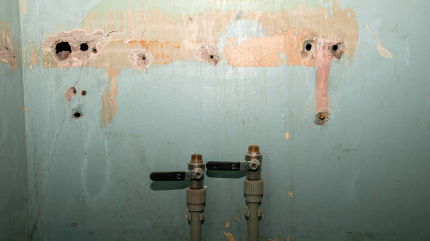 Best Water damage contractors near me  in Verona, WI