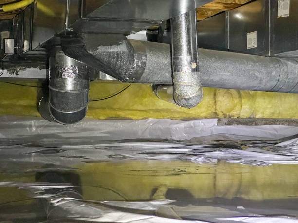 Best Water damage contractors near me  in Verona, WI