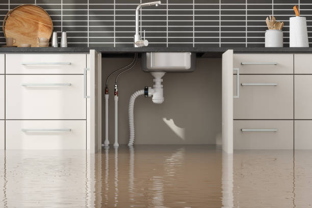 Best Water damage restoration near me  in Verona, WI