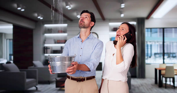 Best Professional water damage repair  in Verona, WI