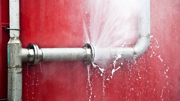Best Water damage cleanup near me  in Verona, WI
