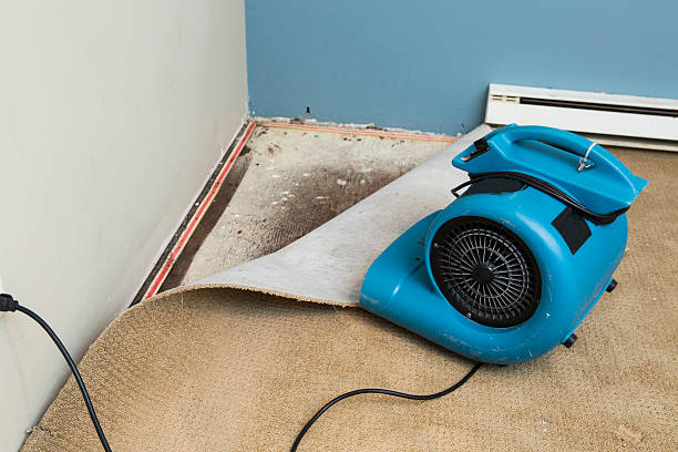Water damage restoration experts in Verona, WI
